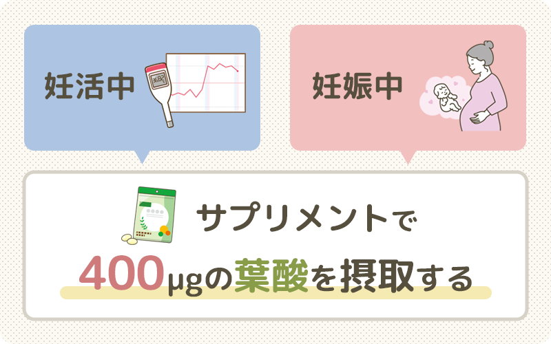 サプリメントから摂る葉酸は400μg