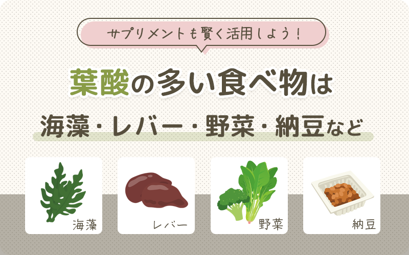 【まとめ】葉酸が多い食べ物は野菜や納豆！サプリメントも賢く活用しよう