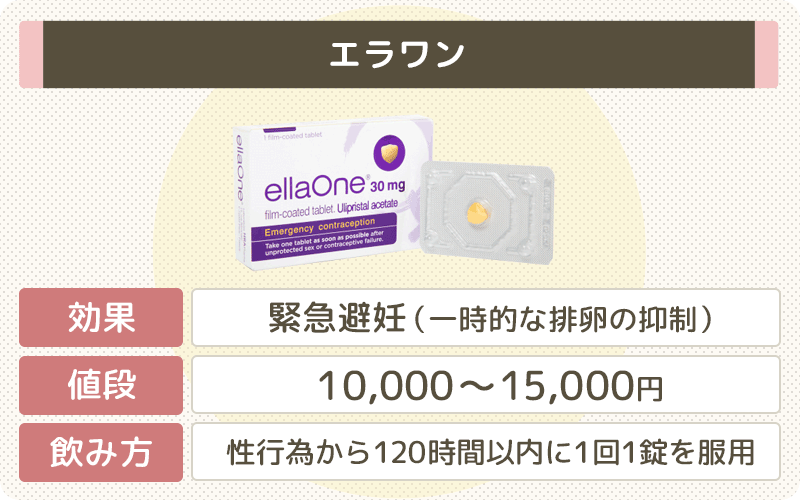 エラワンの値段