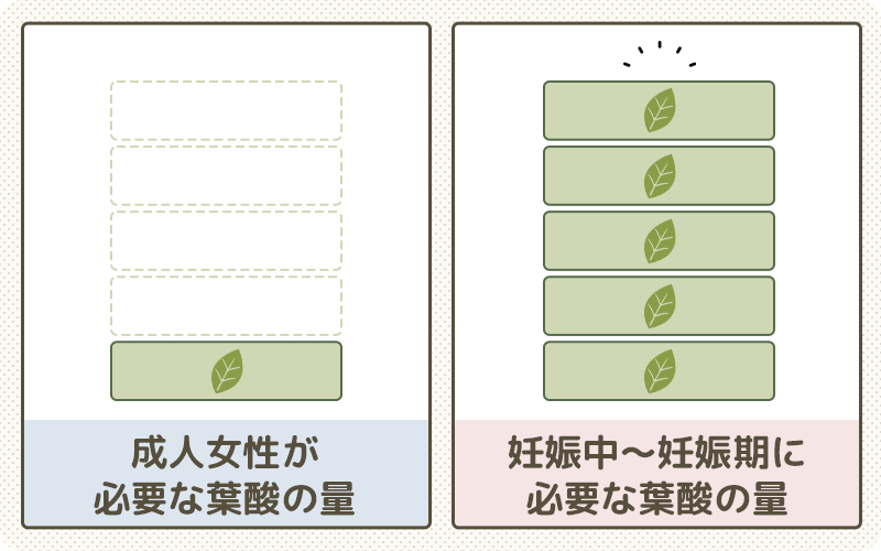 妊娠中に必要な葉酸の量